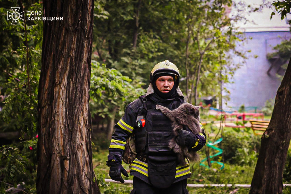 1278 image for slide