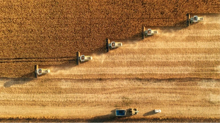 2707 image for slide