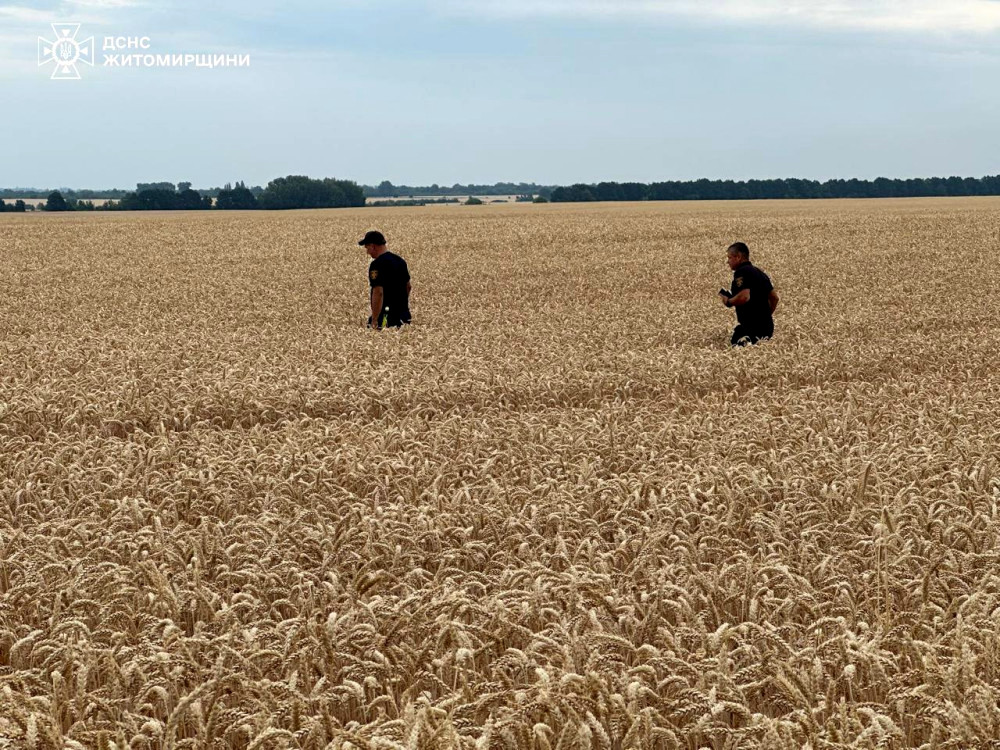 3050 image for slide