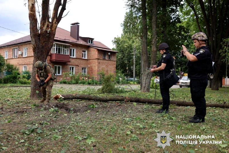 3176 image for slide