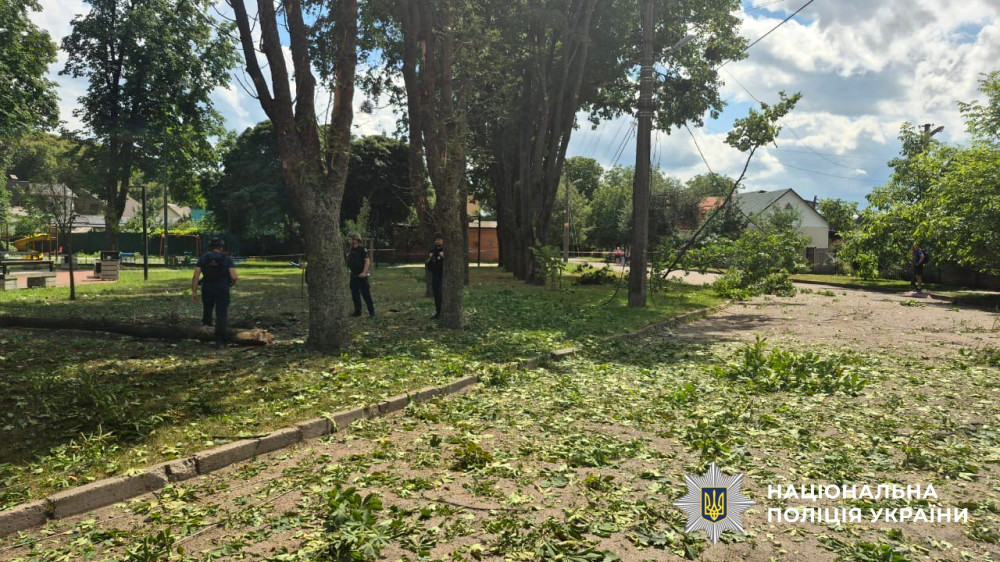 3181 image for slide