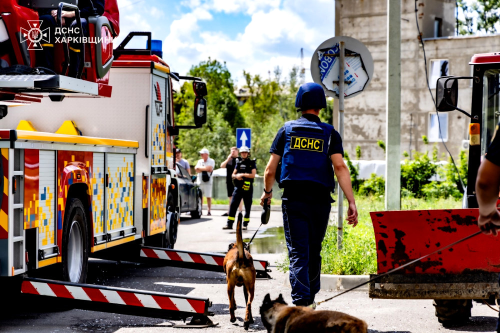 3394 image for slide