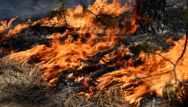 3466 image for slide