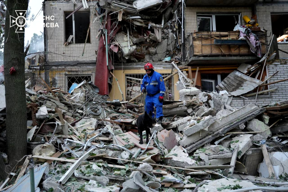 3637 image for slide