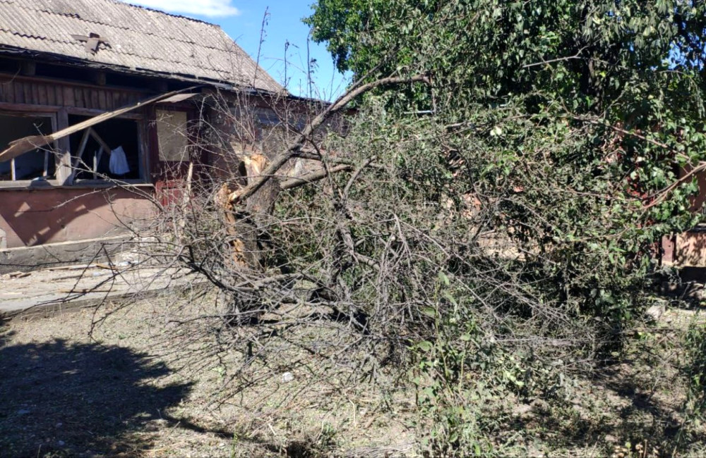 3677 image for slide