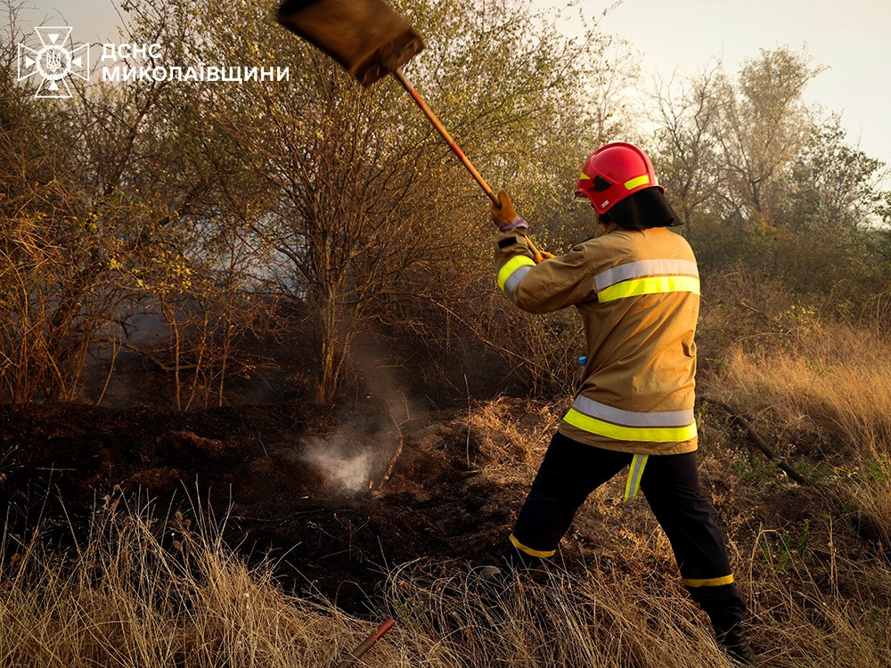 4132 image for slide