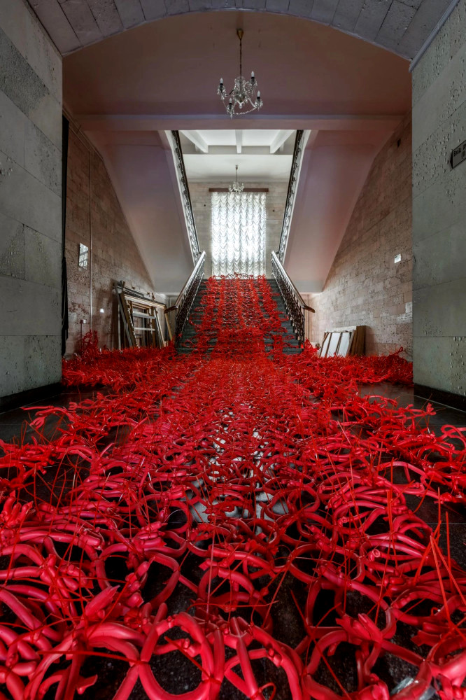 4546 image for slide