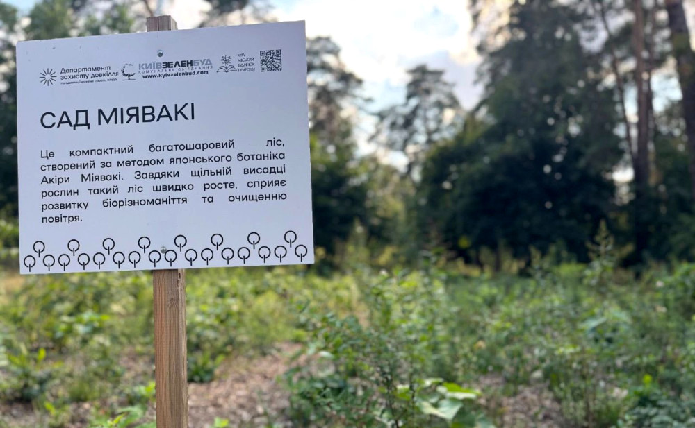 5413 image for slide