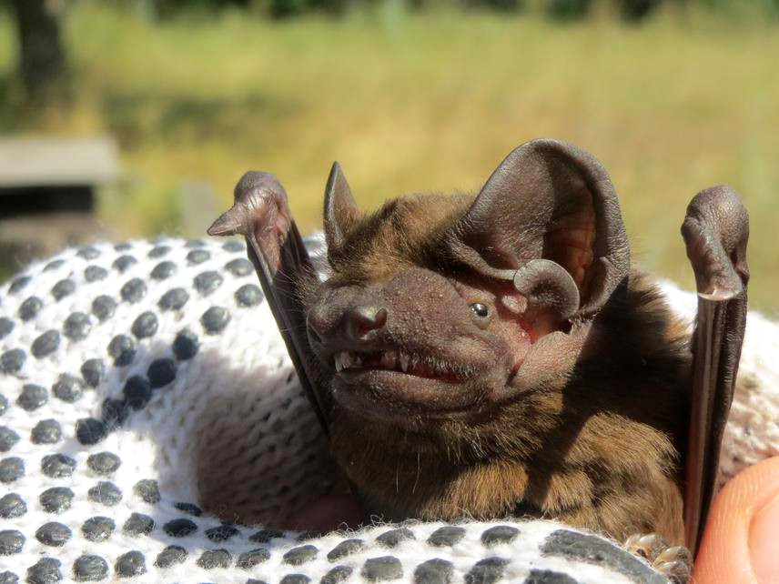 5648 image for slide