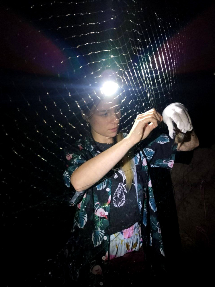 5649 image for slide