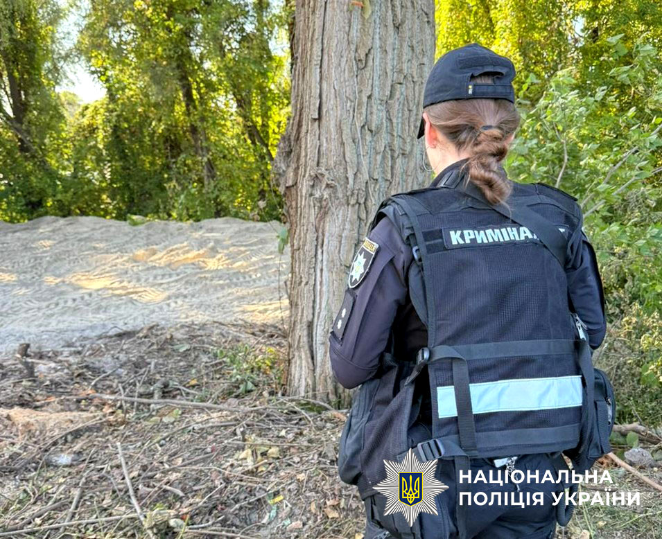 5930 image for slide