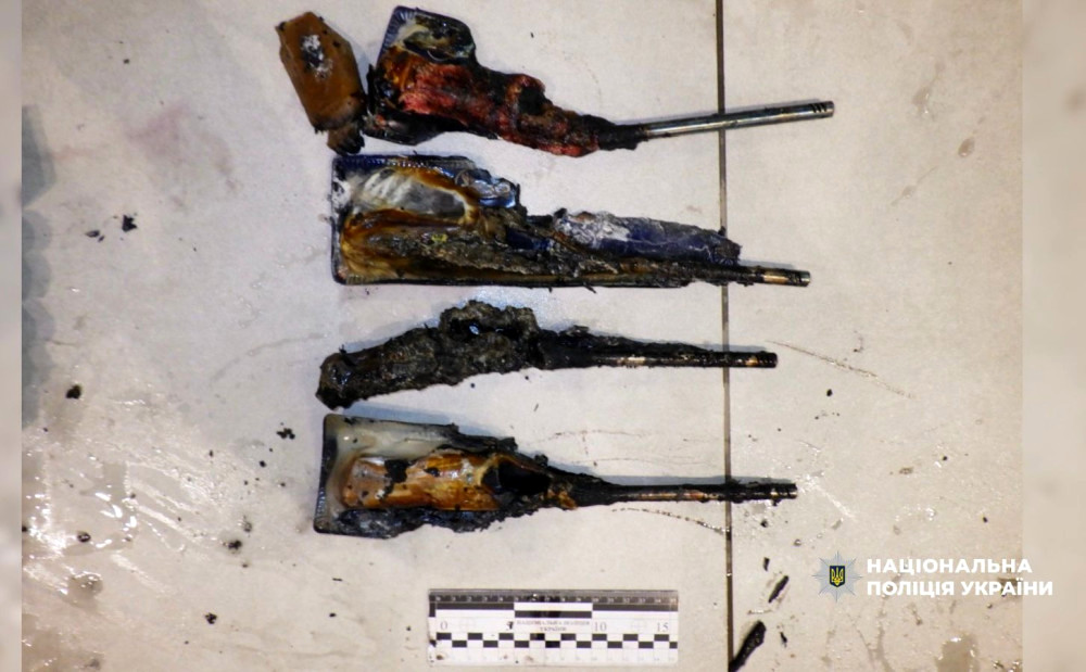 6010 image for slide