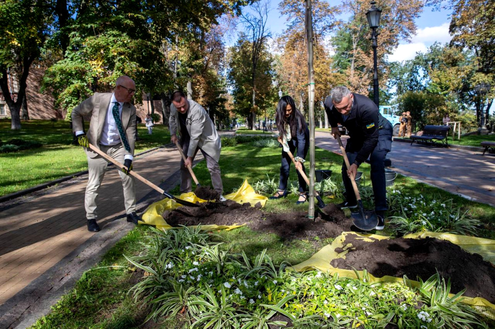 6051 image for slide