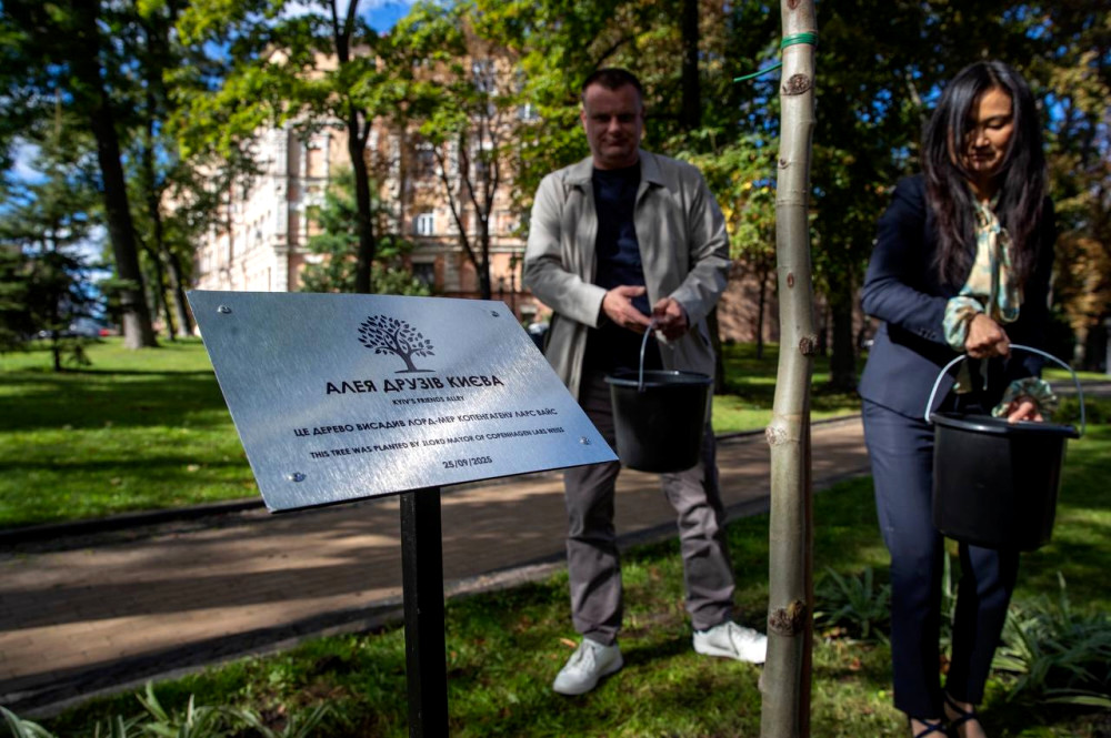 6053 image for slide