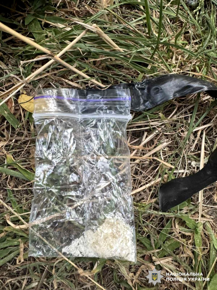 6172 image for slide