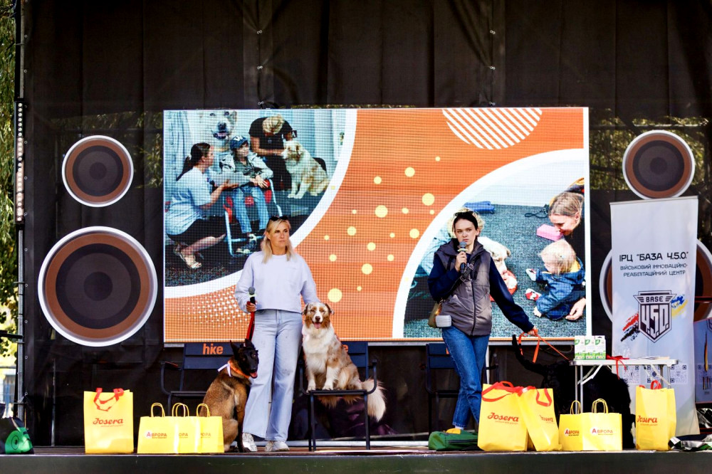 6191 image for slide