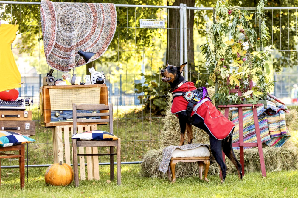 6192 image for slide