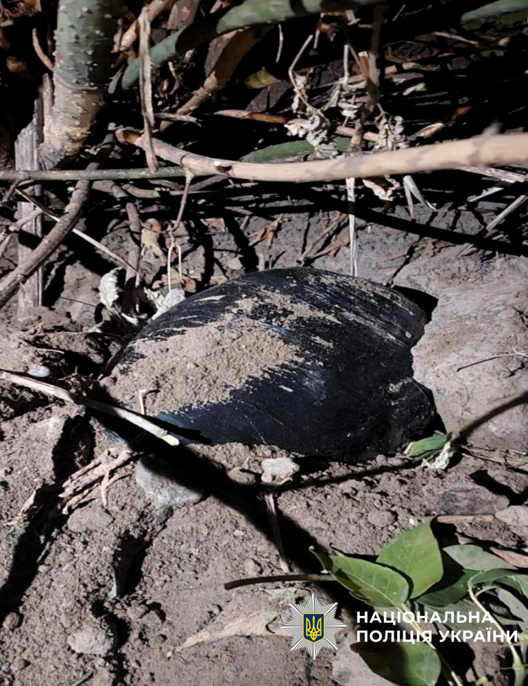 6807 image for slide