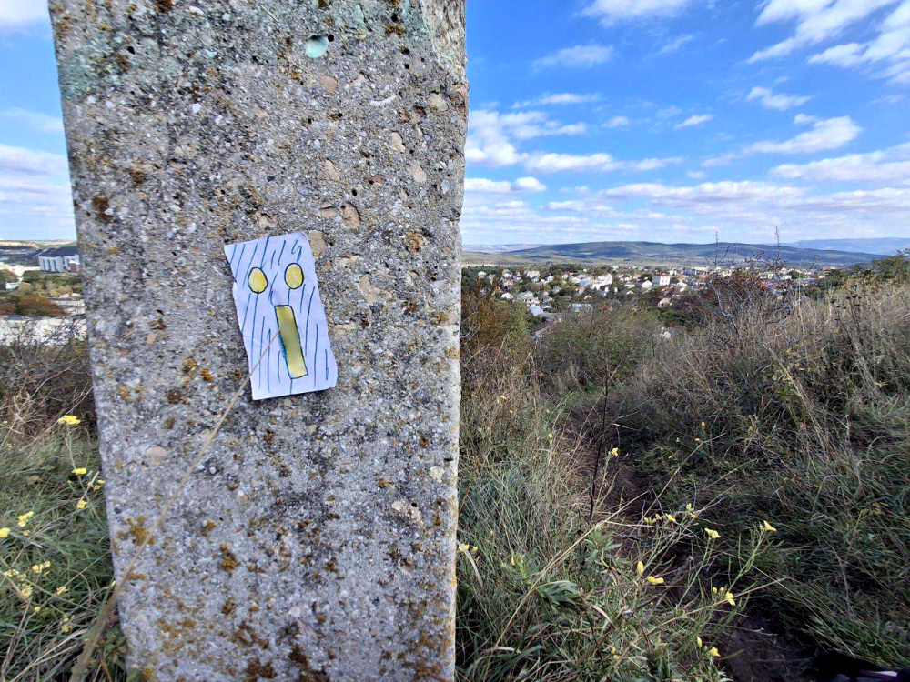 7197 image for slide