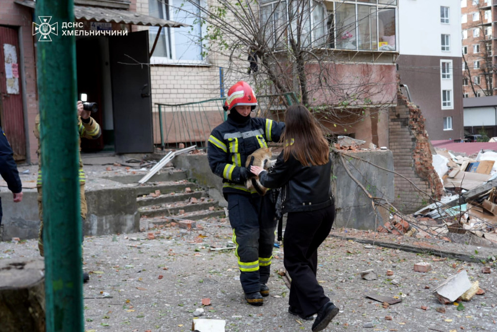 7240 image for slide