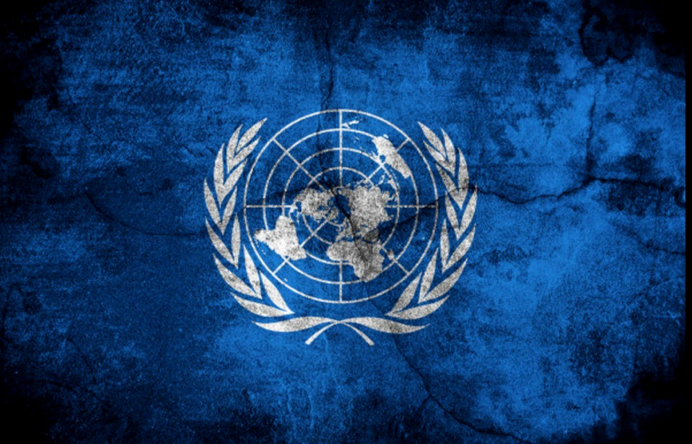 7713 image for slide