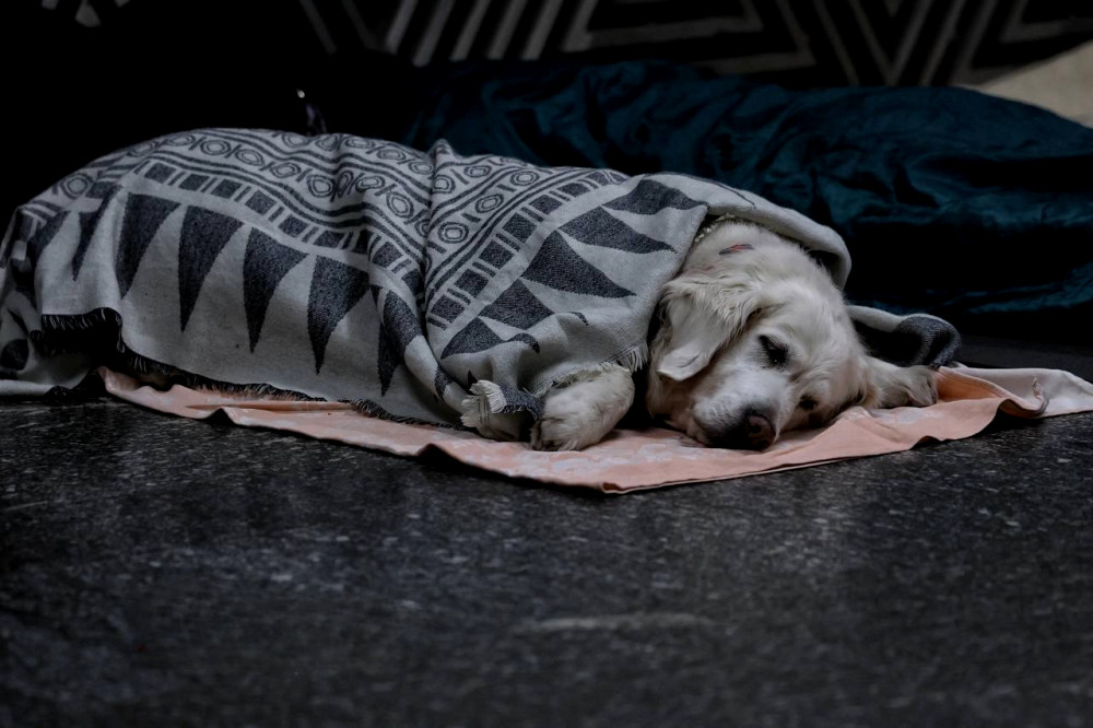 7781 image for slide