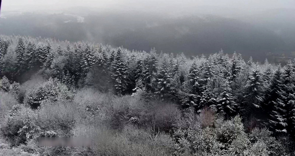 7891 image for slide