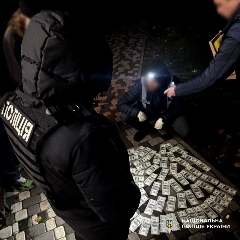 7965 image for slide