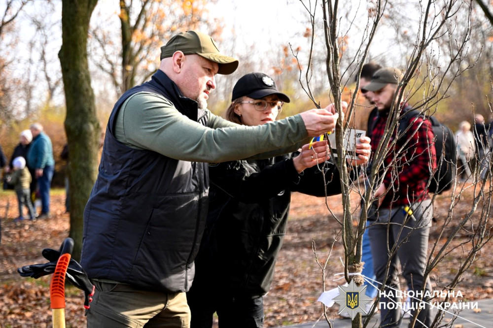 8049 image for slide