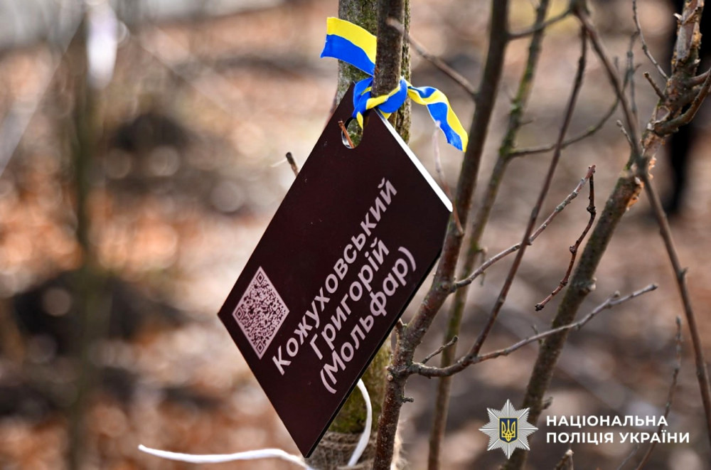 8051 image for slide