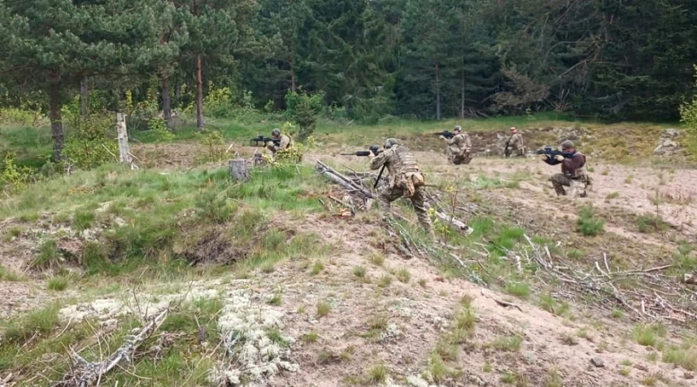 8110 image for slide