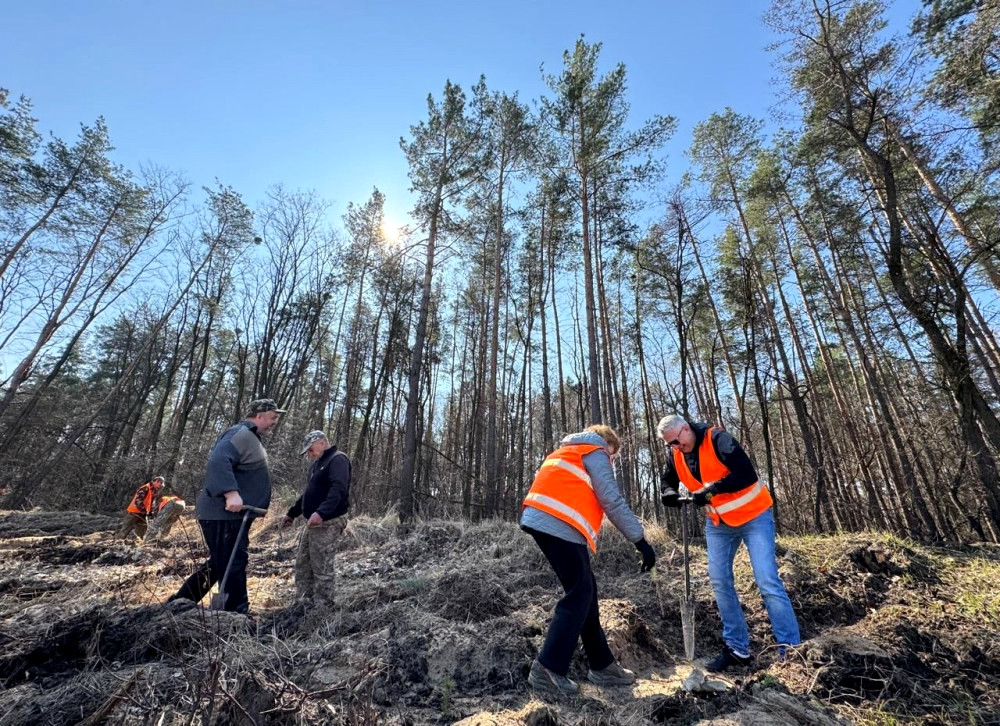 8196 image for slide