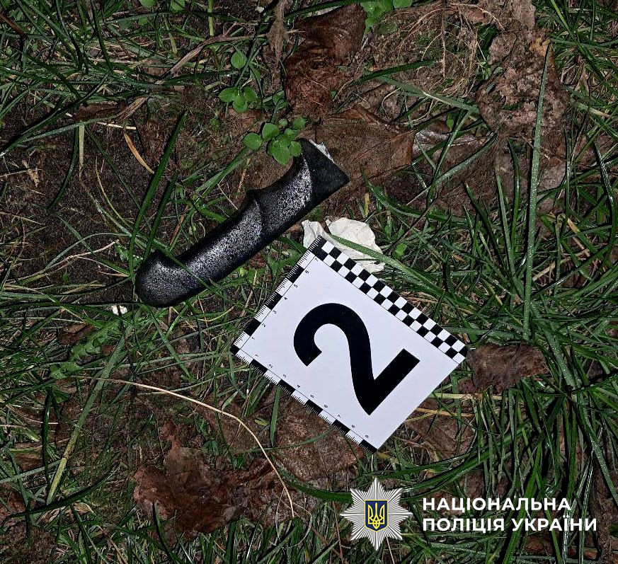 8307 image for slide