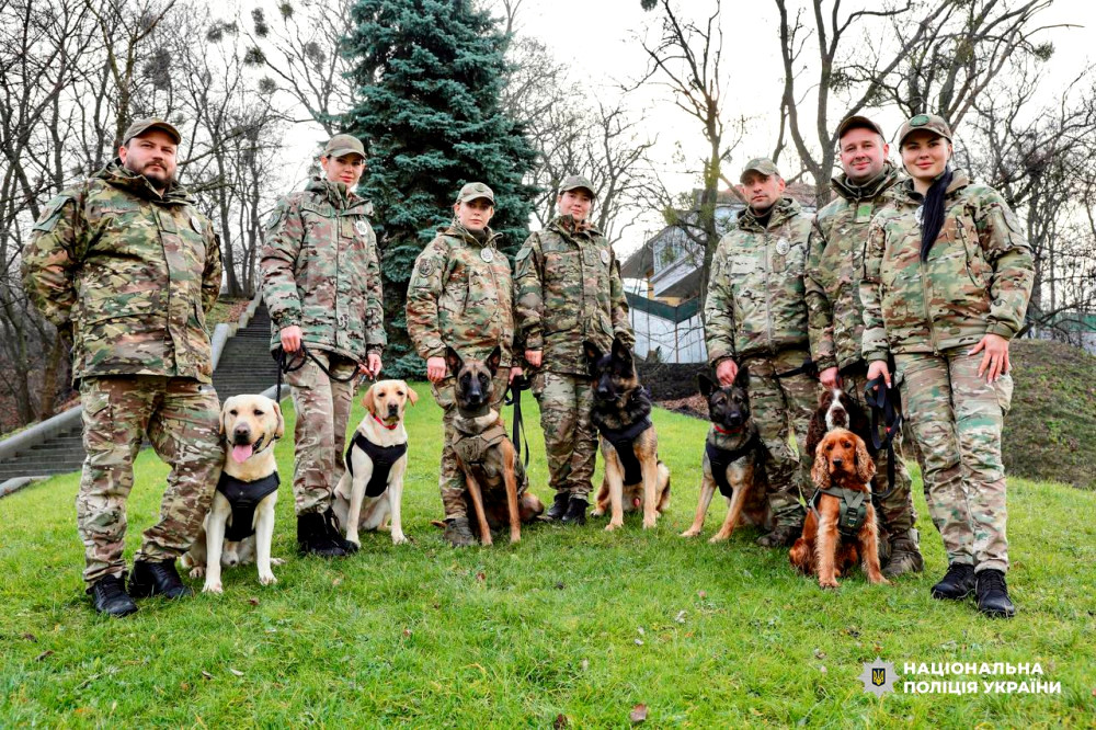 8347 image for slide