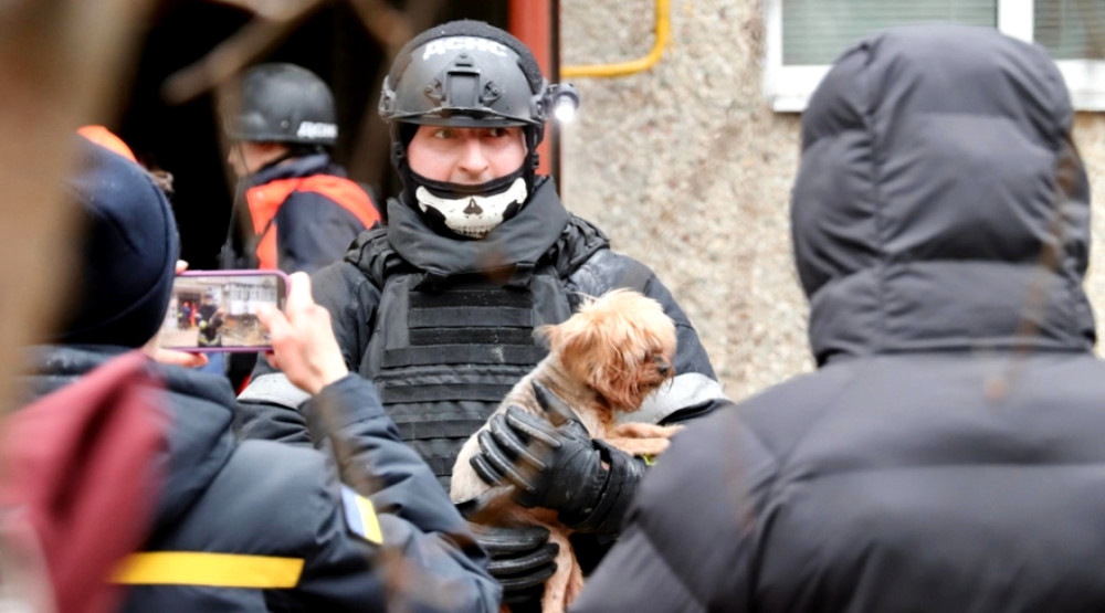 8631 image for slide