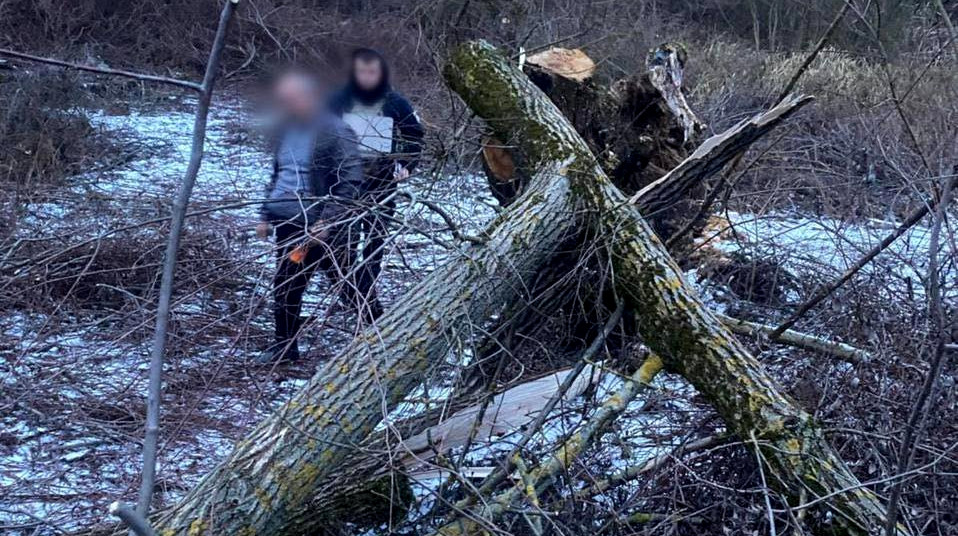 8668 image for slide